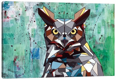 Owl Canvas Art Print - DAAS