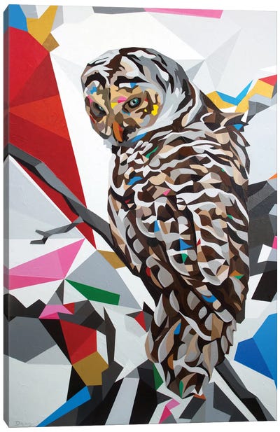 Owl22 Canvas Art Print - DAAS