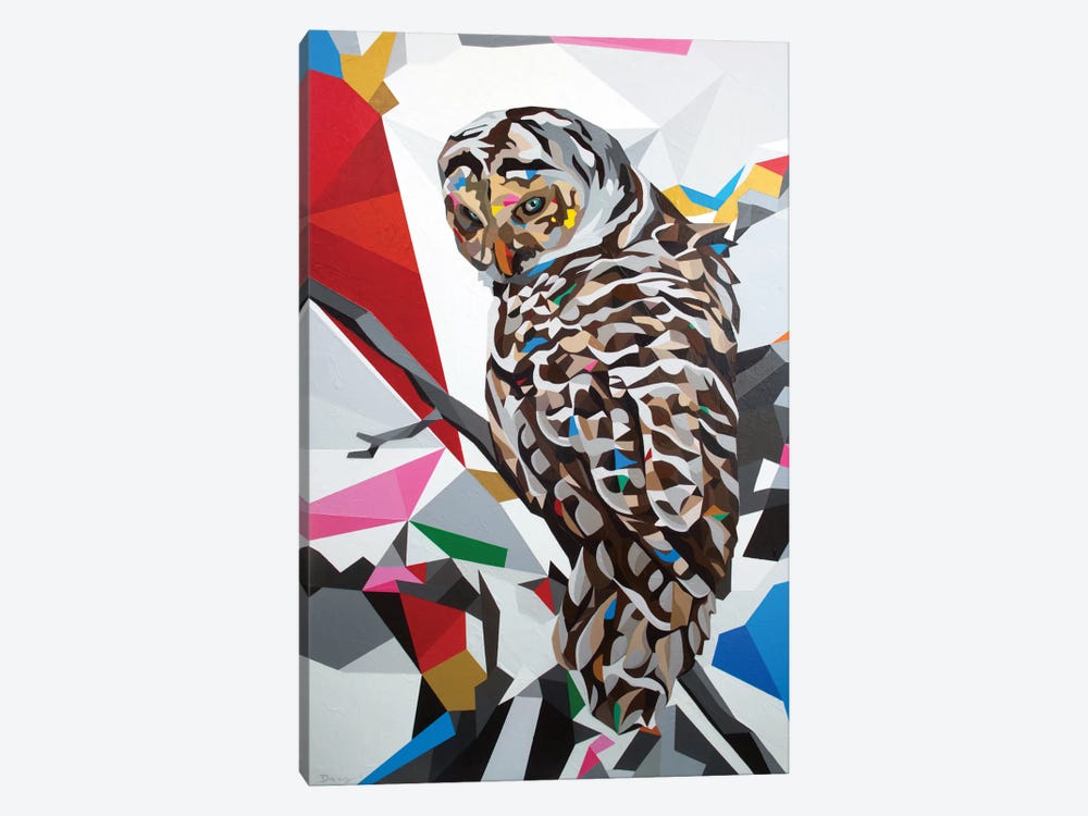 Owl22 by DAAS 1-piece Canvas Art