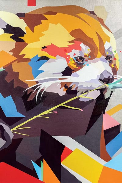 Red Panda II by DAAS canvas print