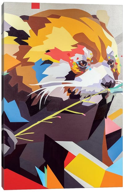 Red Panda II Canvas Art Print - DAAS