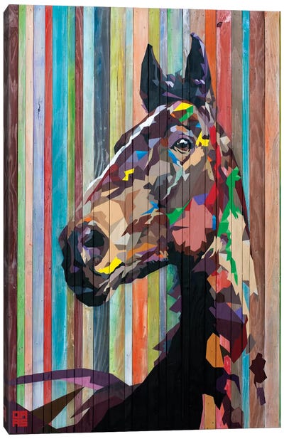 Geo Horse Canvas Art Print - Stripe Patterns