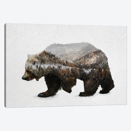 The Kodiak Brown Bear Canvas Print #DAV4} by Davies Babies Art Print