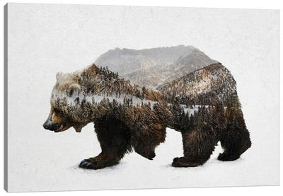 The Kodiak Brown Bear Canvas Art Print - Double Exposure Photography