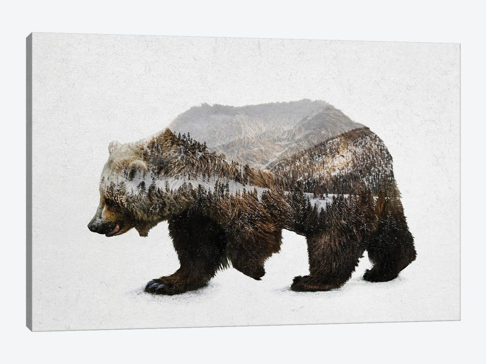 The Kodiak Brown Bear by Davies Babies 1-piece Canvas Art