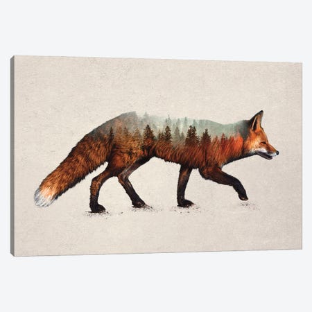 The Red Fox Canvas Print #DAV6} by Davies Babies Canvas Art Print