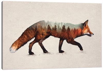 The Red Fox Canvas Art Print - Davies Babies