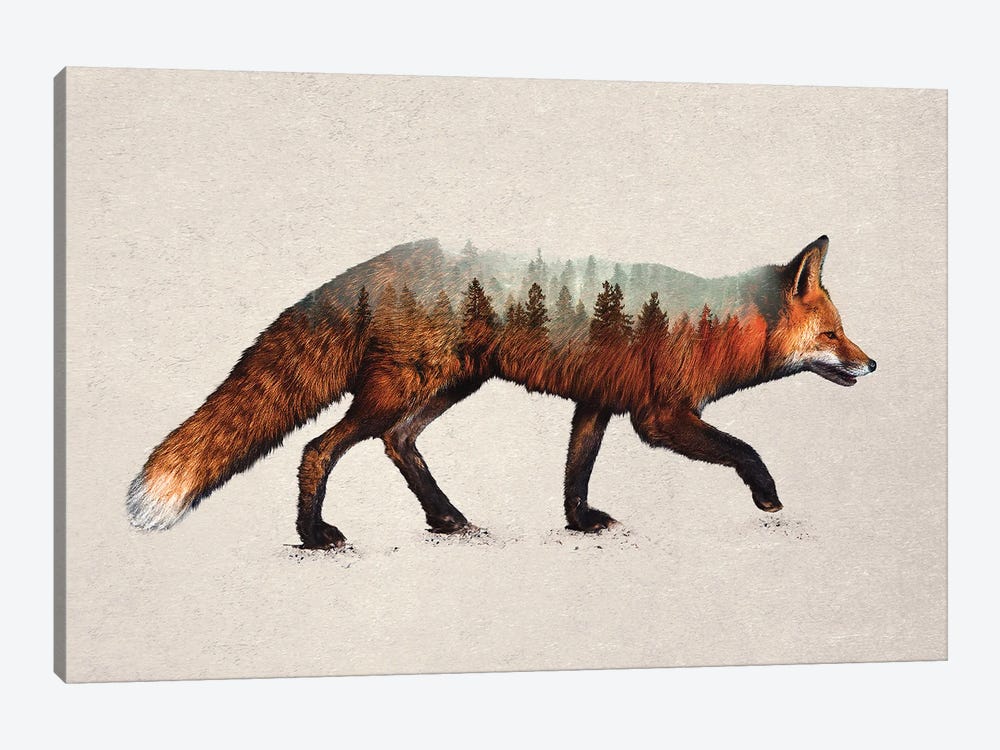The Red Fox by Davies Babies 1-piece Canvas Art