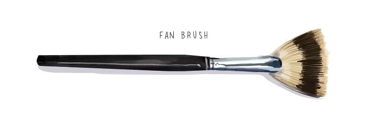 Fan Brush