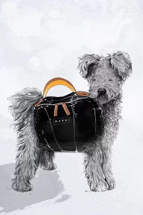 MARNI by Amber Day wall art