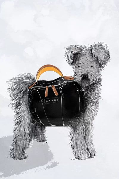Amber Day: MARNI by Amber Day