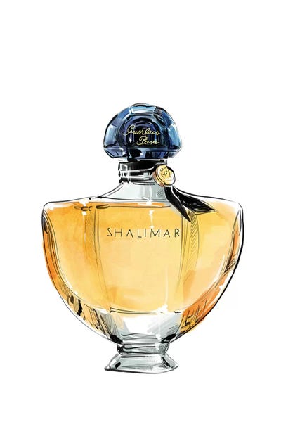 Shalimar by Amber Day framed canvas print