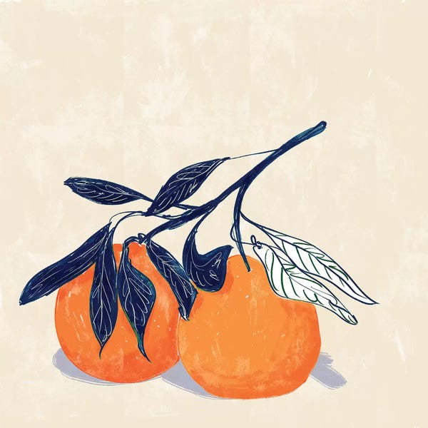 Amber Day: Oranges by Amber Day
