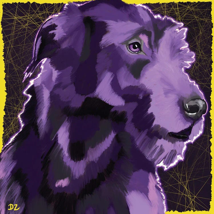 Irish Wolfhound