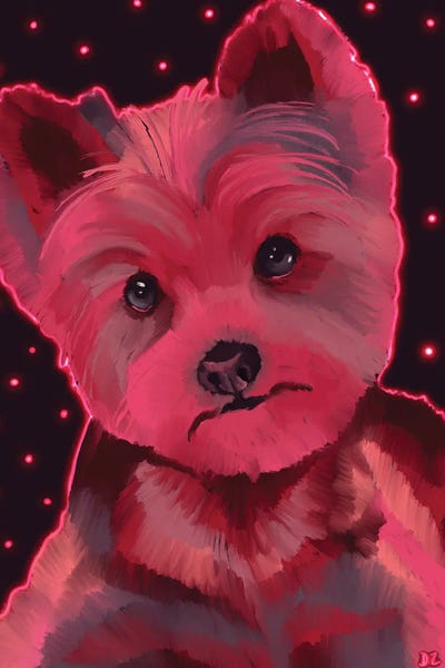 Yorkshire Terriers: Yorkshire Terrier by DaoZedd