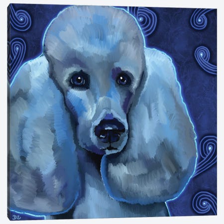 Poodle Canvas Print #DAZ15} by DaoZedd Canvas Art