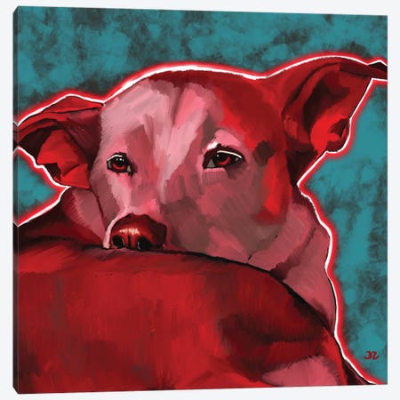 Dog Without Breed Canvas Print #DAZ21} by DaoZedd Canvas Wall Art