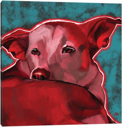 Dog Without Breed Canvas Art Print - DaoZedd