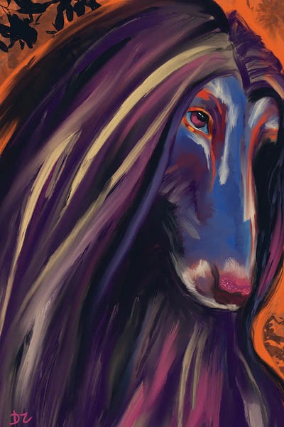 Chromatic Kingdom: Afghan Hound by DaoZedd