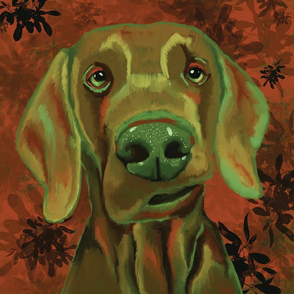 Weimaraners: Weimaraner by DaoZedd