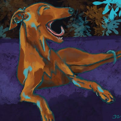 Greyhound Yawns by DaoZedd metal wall art