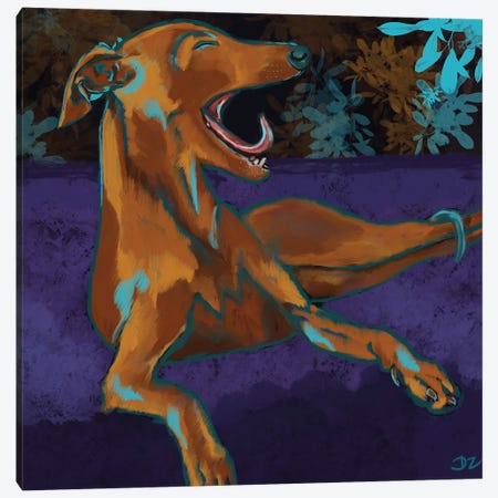 Greyhound Yawns Canvas Print #DAZ5} by DaoZedd Art Print