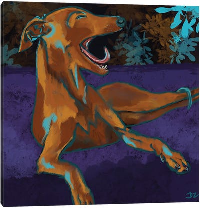 Greyhound Yawns Canvas Art Print