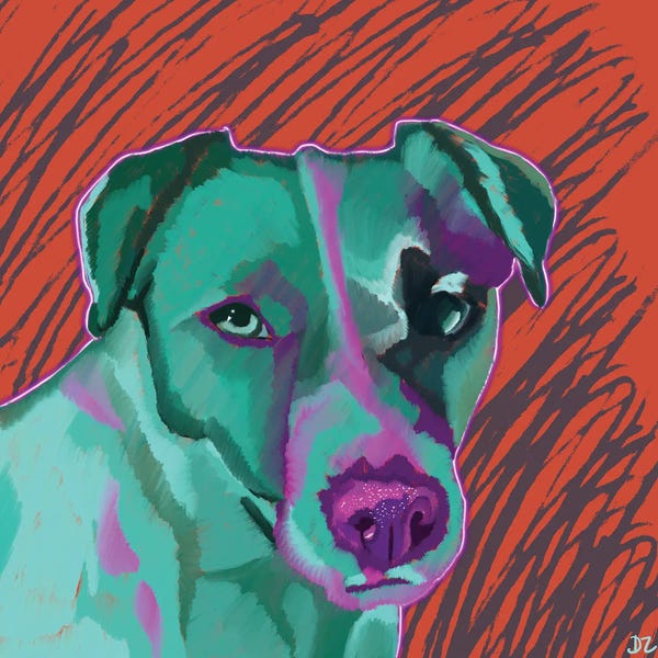 Jack Russell Terriers: Jack Russel by DaoZedd