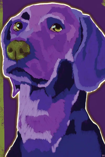 Monochromatic Moments: Weimaraner Boy by DaoZedd