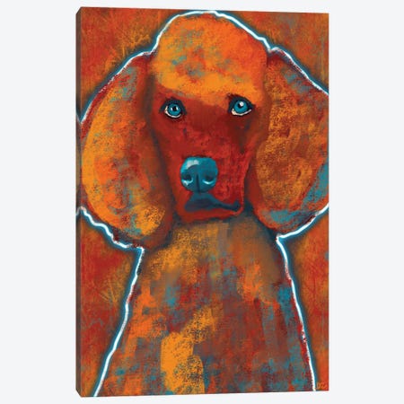My Baby Poodle Canvas Print #DAZ78} by DaoZedd Art Print