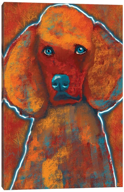 My Baby Poodle Canvas Art Print - DaoZedd