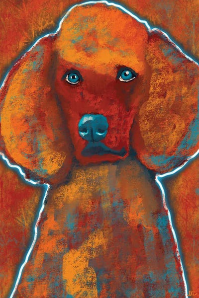 Monochromatic Moments: My Baby Poodle by DaoZedd