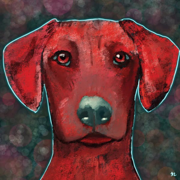 Rhodesian Ridgebacks: Young Ridgeback by DaoZedd