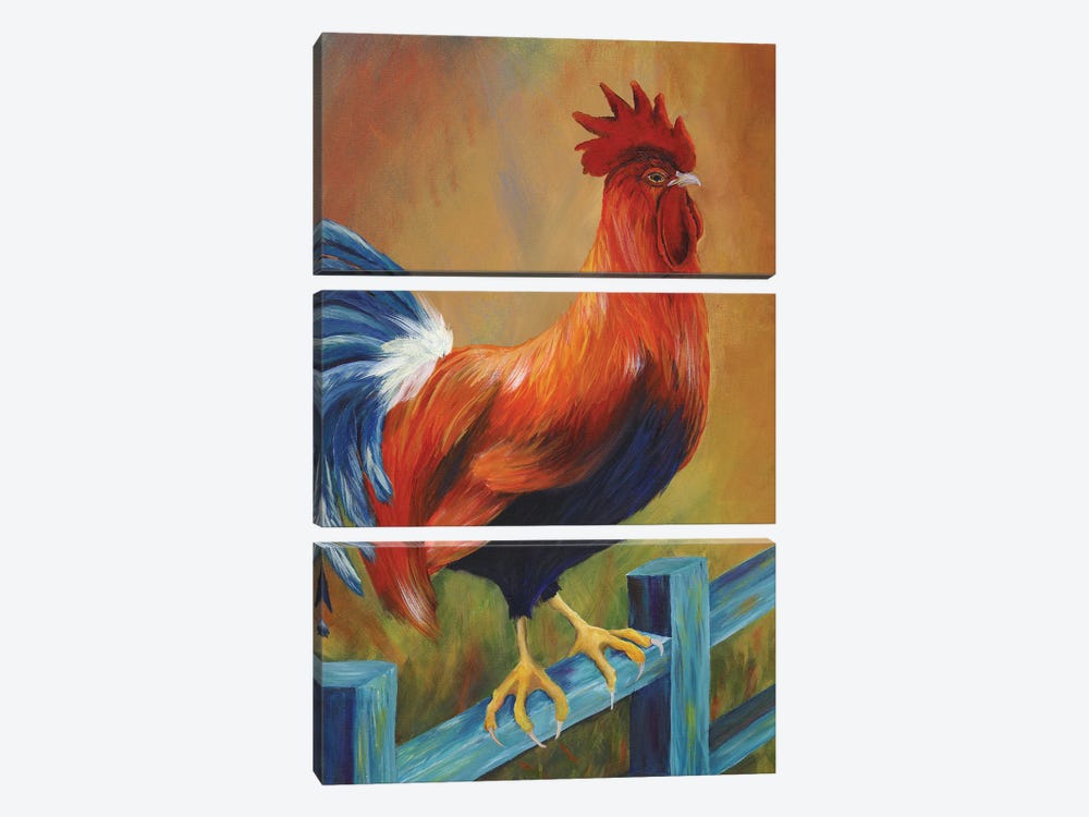 The Better Life Rooster by Debbie McCulley 3-piece Canvas Artwork