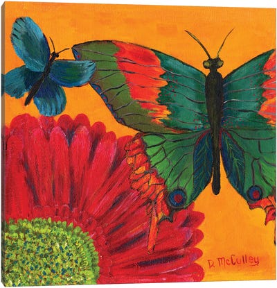 Papillon Jaune Canvas Art Print - Debbie McCulley
