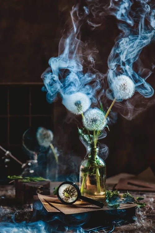 Smoakin' Summer by Dina Belenko wall art