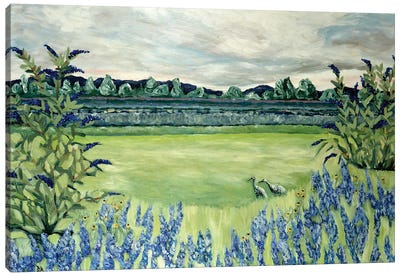Lavender Fields Canvas Art Print - Deborah Eve Alastra