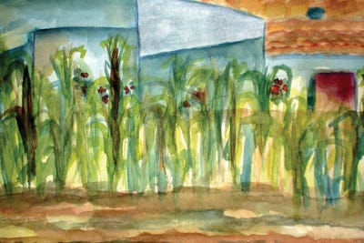 Corn Plants by Deborah Eve Alastra framed wall art
