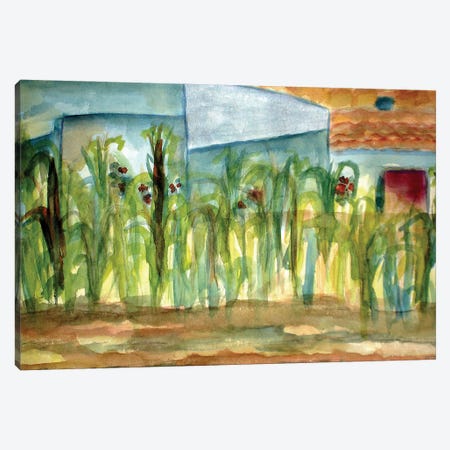 Corn Plants Canvas Print #DBH125} by Deborah Eve Alastra Canvas Art