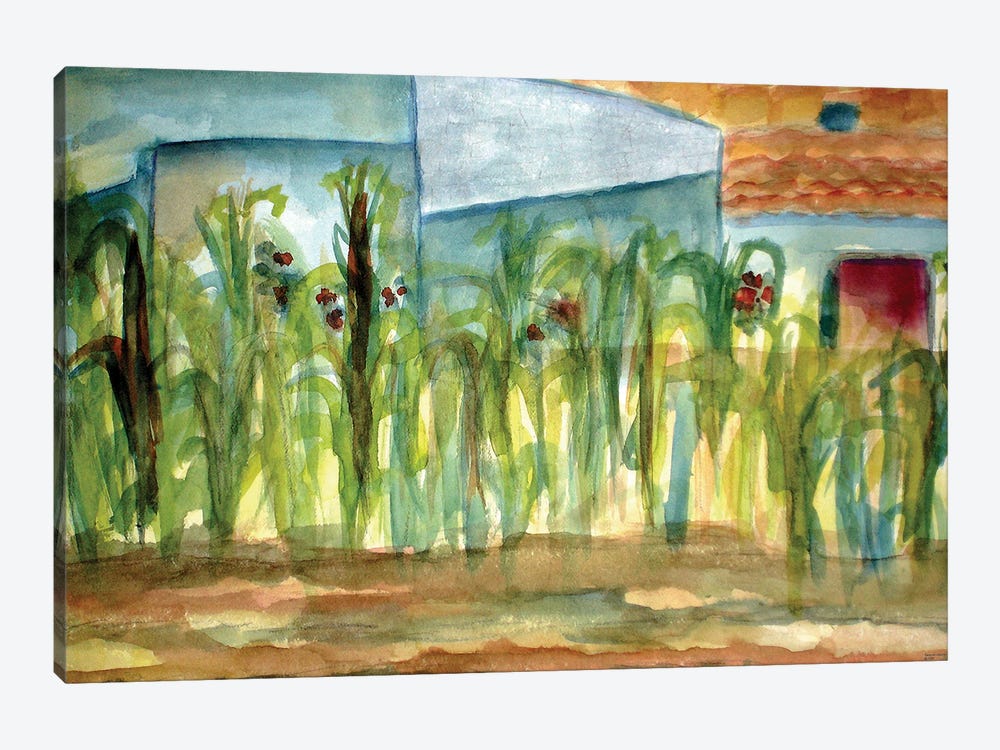 Corn Plants by Deborah Eve Alastra 1-piece Canvas Art