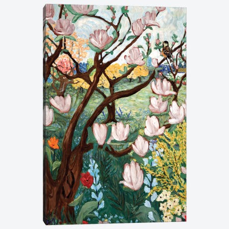 Magnolia Blossoms Canvas Print #DBH15} by Deborah Eve Alastra Canvas Art