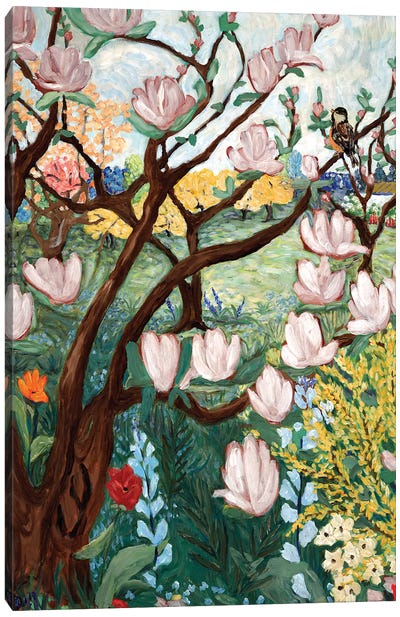 Magnolia Blossoms Canvas Art Print - Shabby Chic Décor