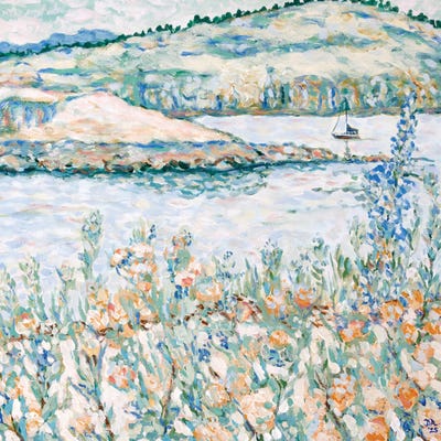 Olivine - Canvas Prints: Port Townsend Wildflowers by Deborah Eve Alastra