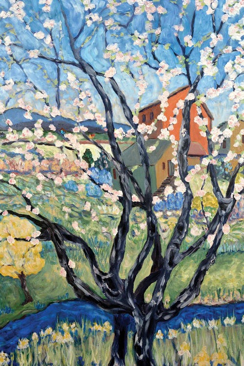 Cherry Tree View