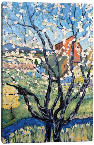 Cherry Tree View Canvas Art Print - Blossom Art