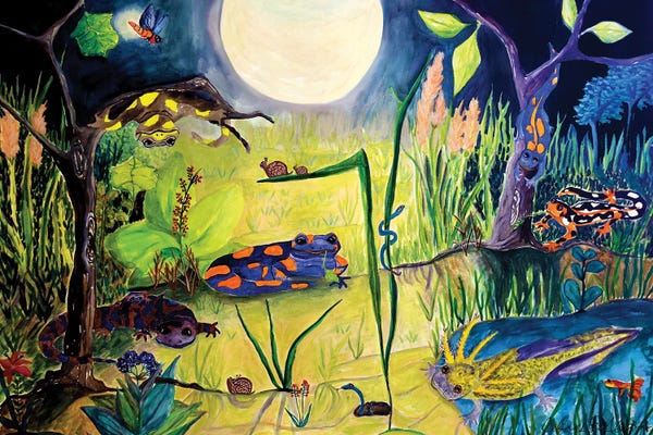 Lizards: Awake While You Sleep by Deborah Eve Alastra