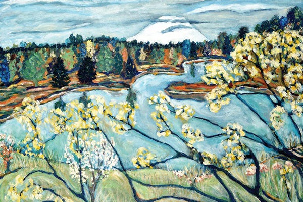 Artists Like Van Gogh: St. Helen's View by Deborah Eve Alastra