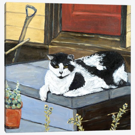 Neighbor's Cat Canvas Print #DBH50} by Deborah Eve Alastra Canvas Art Print