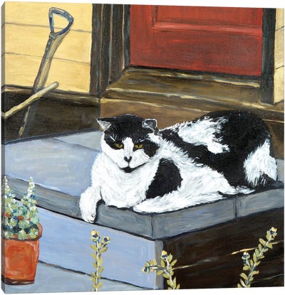 Neighbor's Cat Canvas Art Print - Deborah Eve Alastra