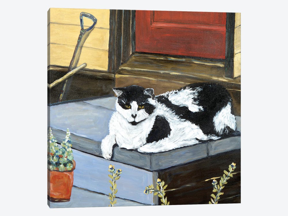 Neighbor's Cat by Deborah Eve Alastra 1-piece Canvas Art Print